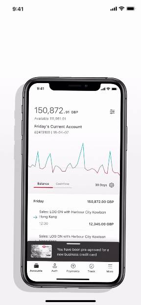 HSBC NETMobile — design system vision